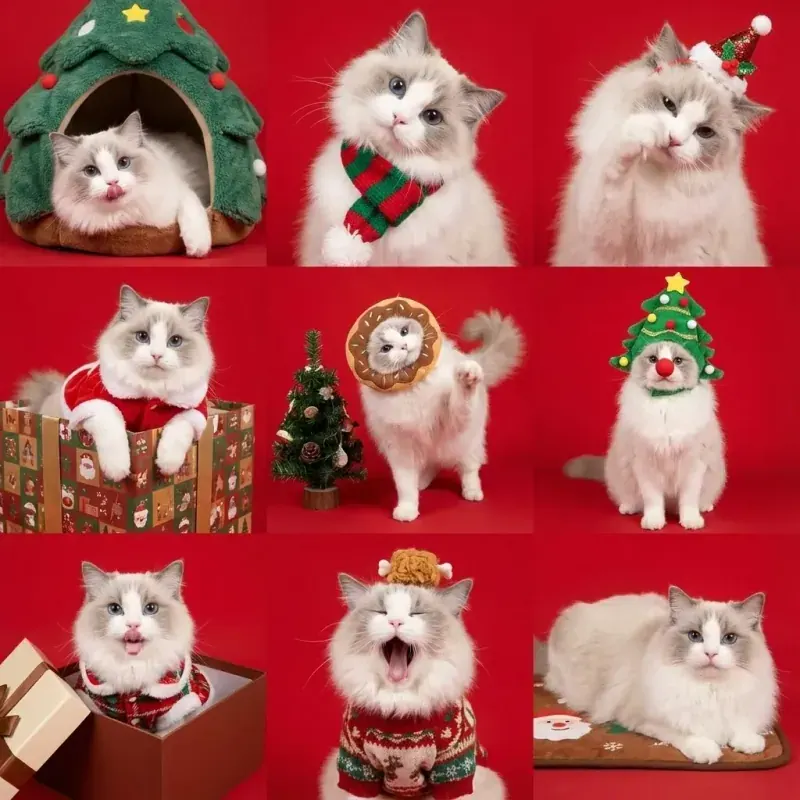Grille de portraits d'animaux de Noël — Après